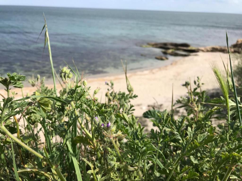 Black Sea Wellnest Aheloy Dış mekan fotoğraf